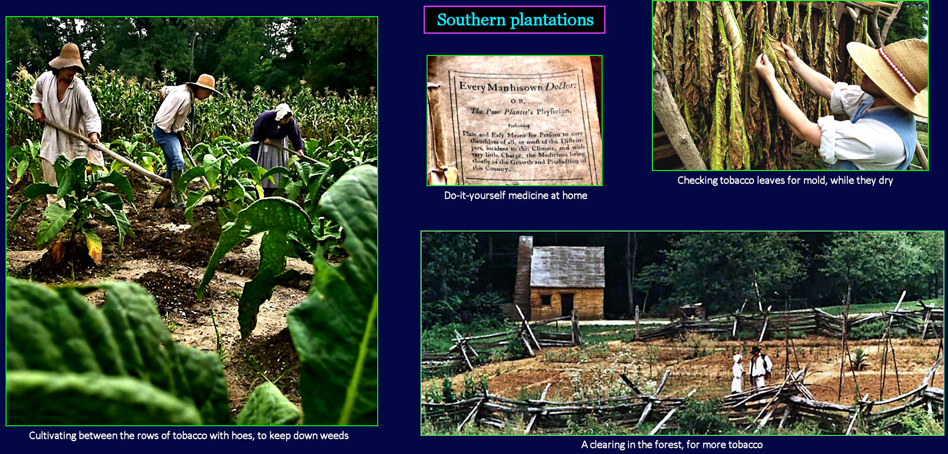 Virginia tobacco plantations, 1700